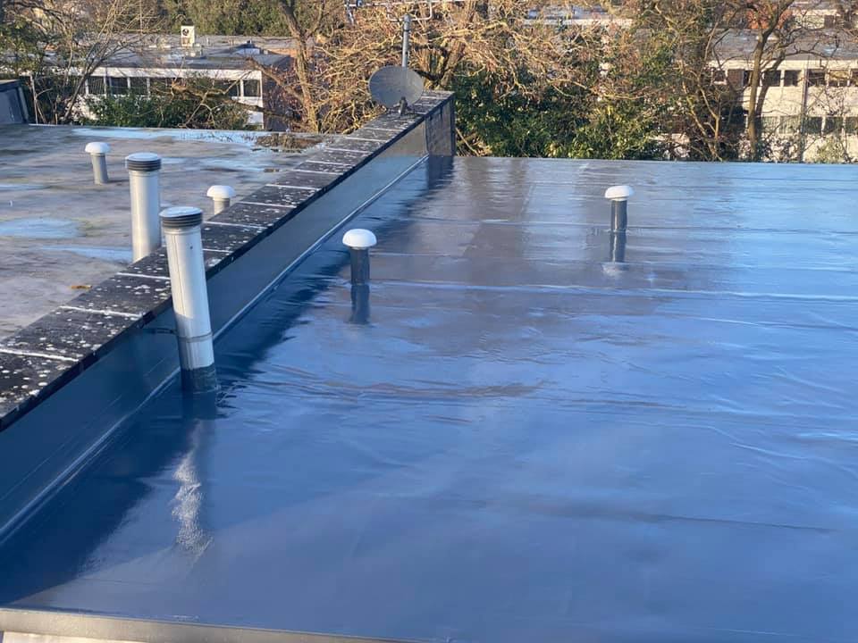 144652333 228428008921296 5807798173953783500 n (1)