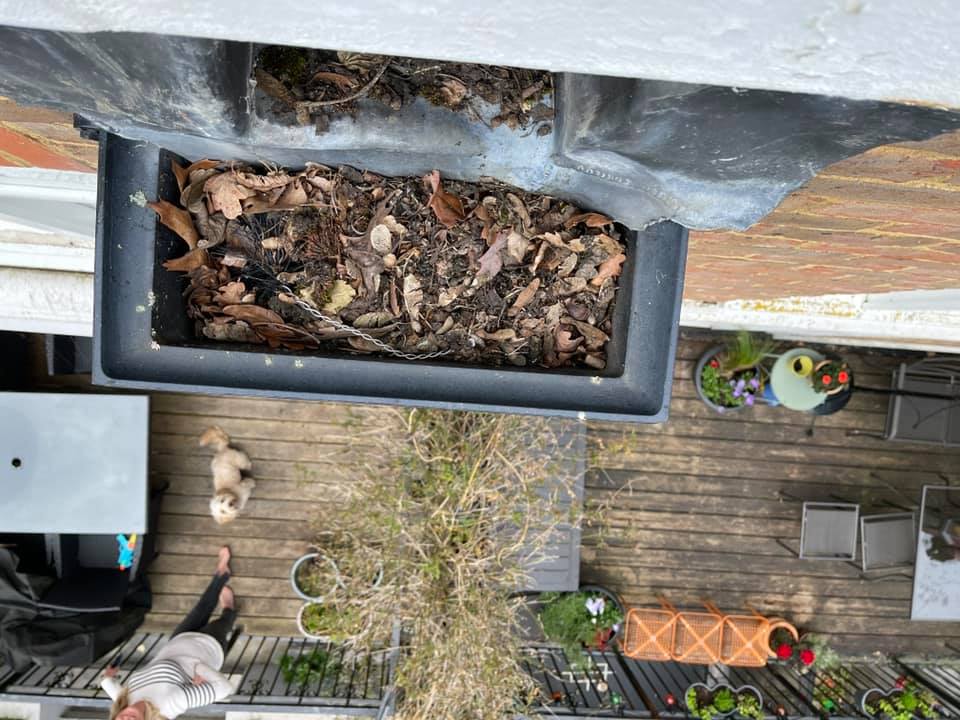 185354495 298105821953514 1369054378948598792 n