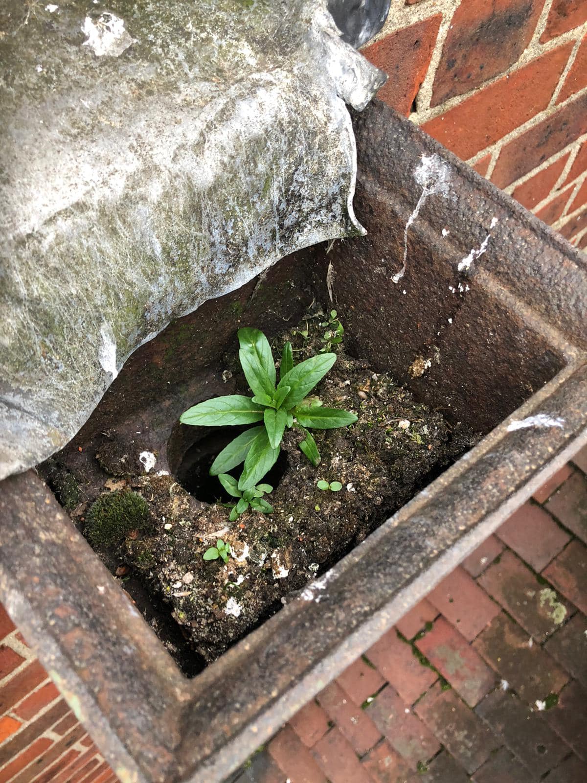 471711625 1141076070989814 5203192450957454220 n