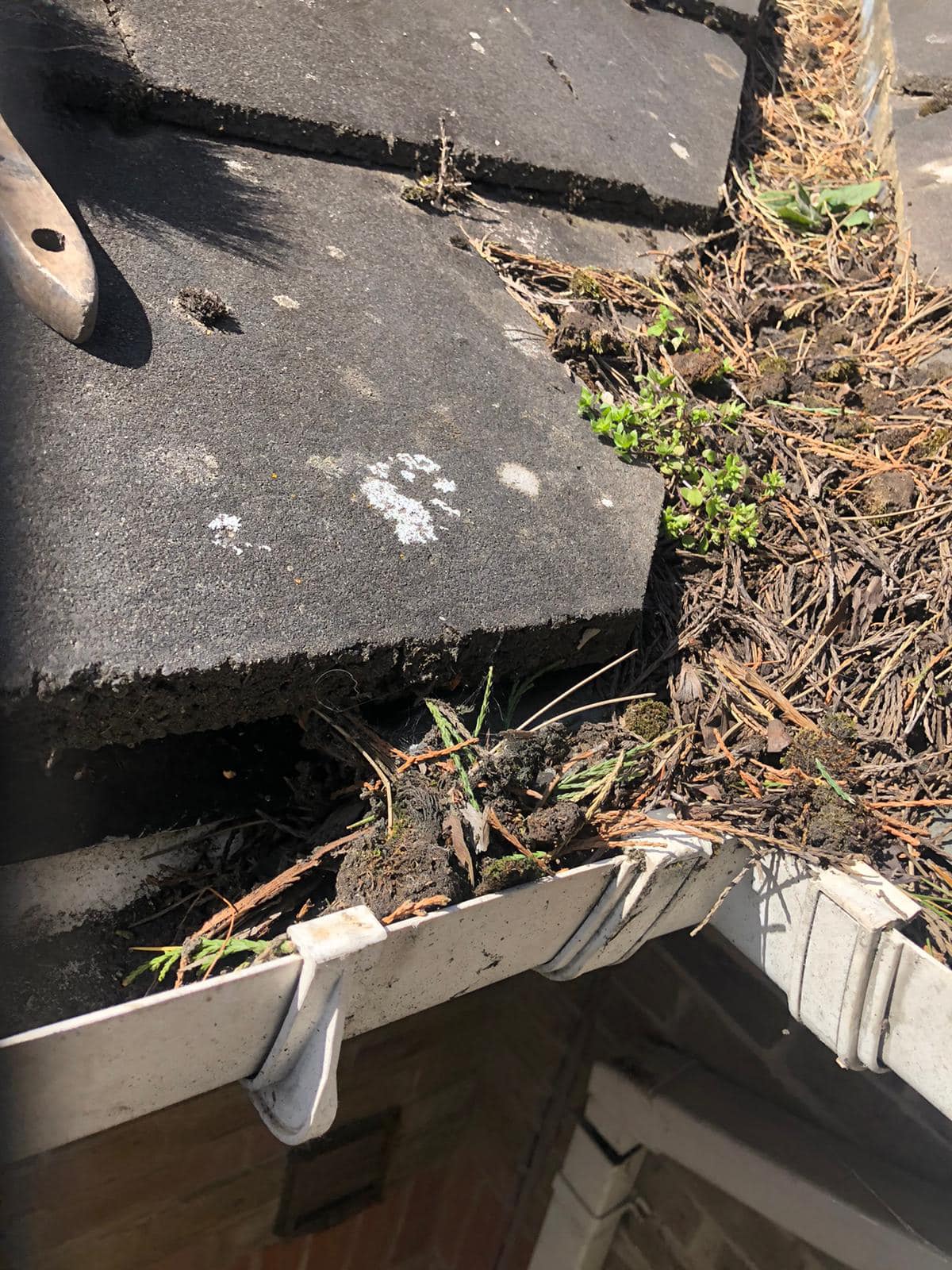 472552581 1147605543670200 5416083367465997372 n