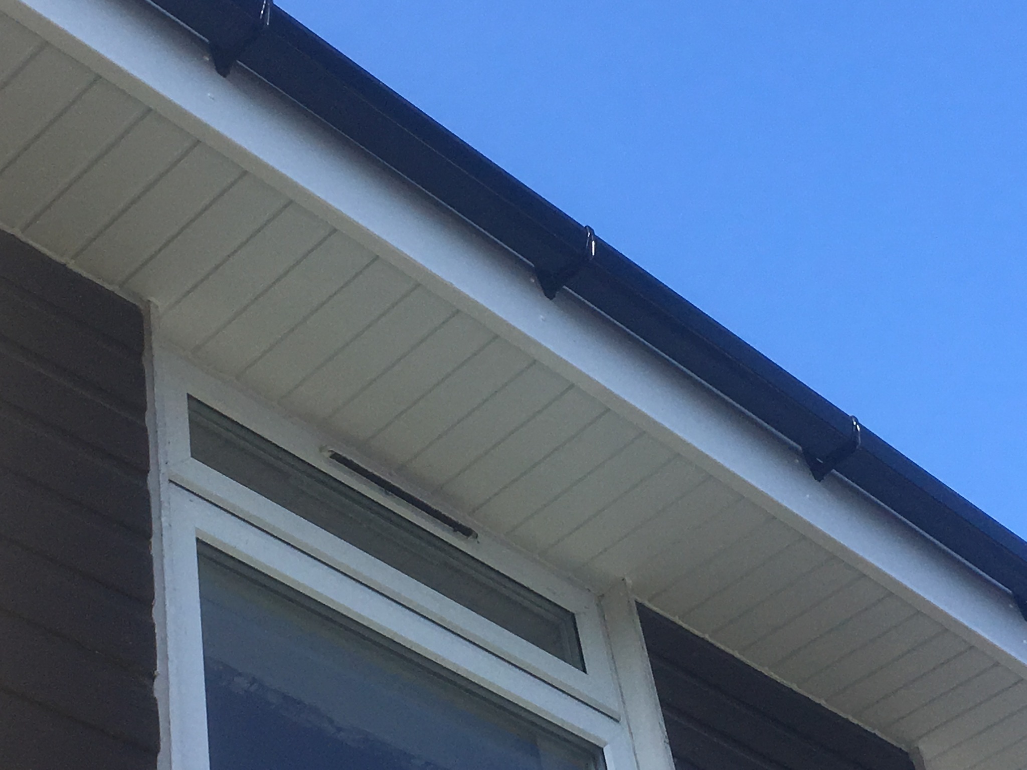 480524035 1176662750764479 3466355399658372086 n (1)