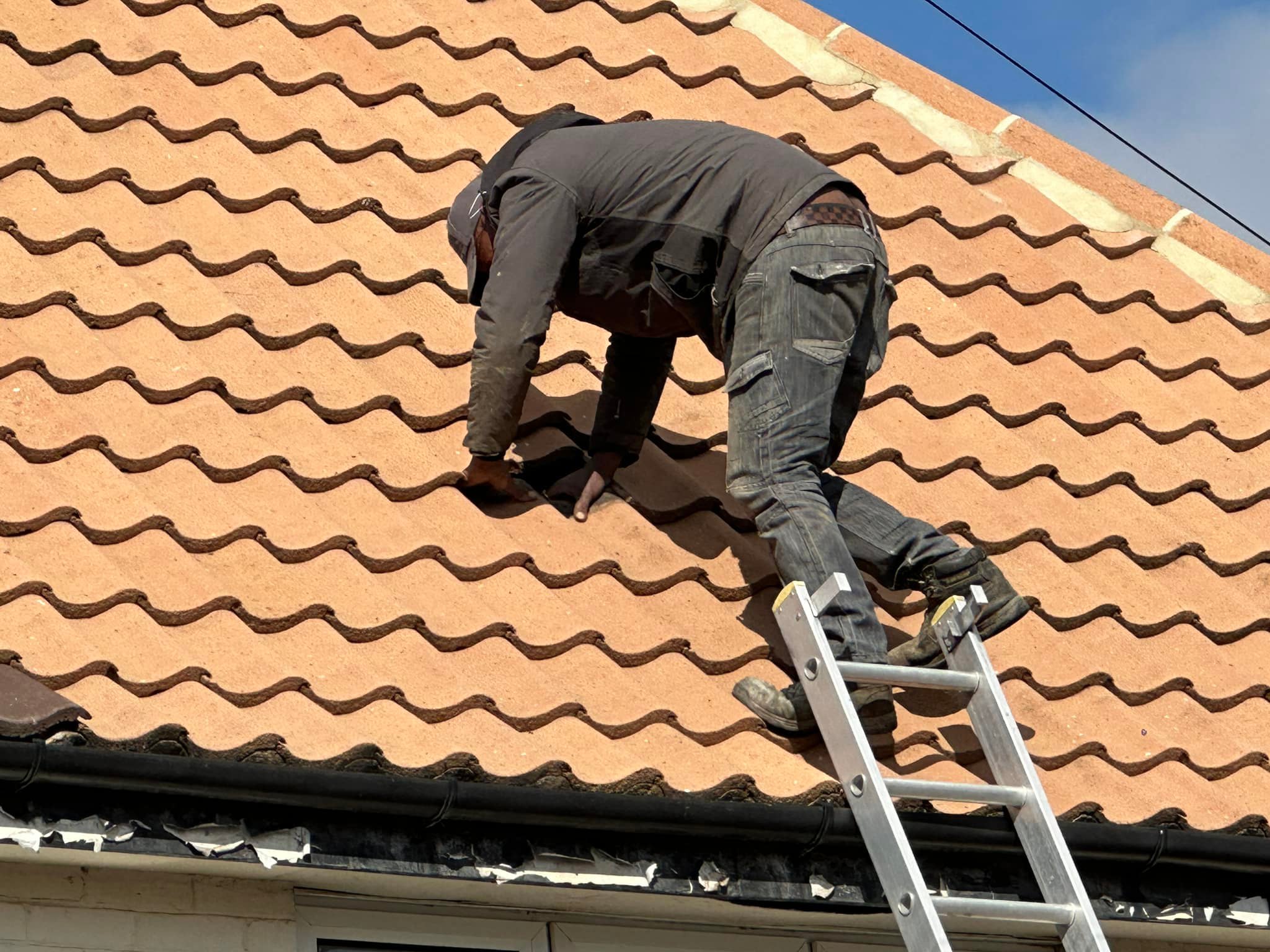 481093403 1179589160471838 1343724235486605 n