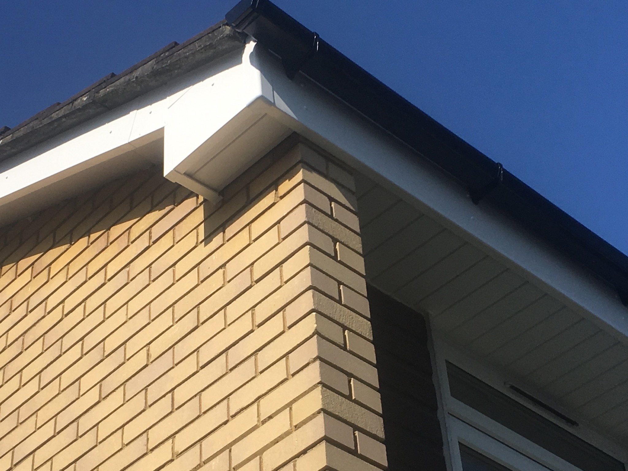 481197738 1176662817431139 6225926119003206769 n (1)