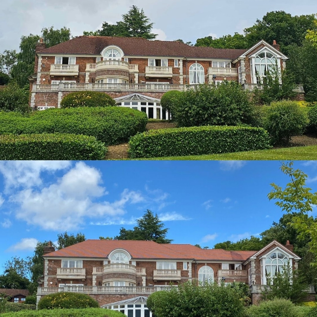 adobe express file (1)