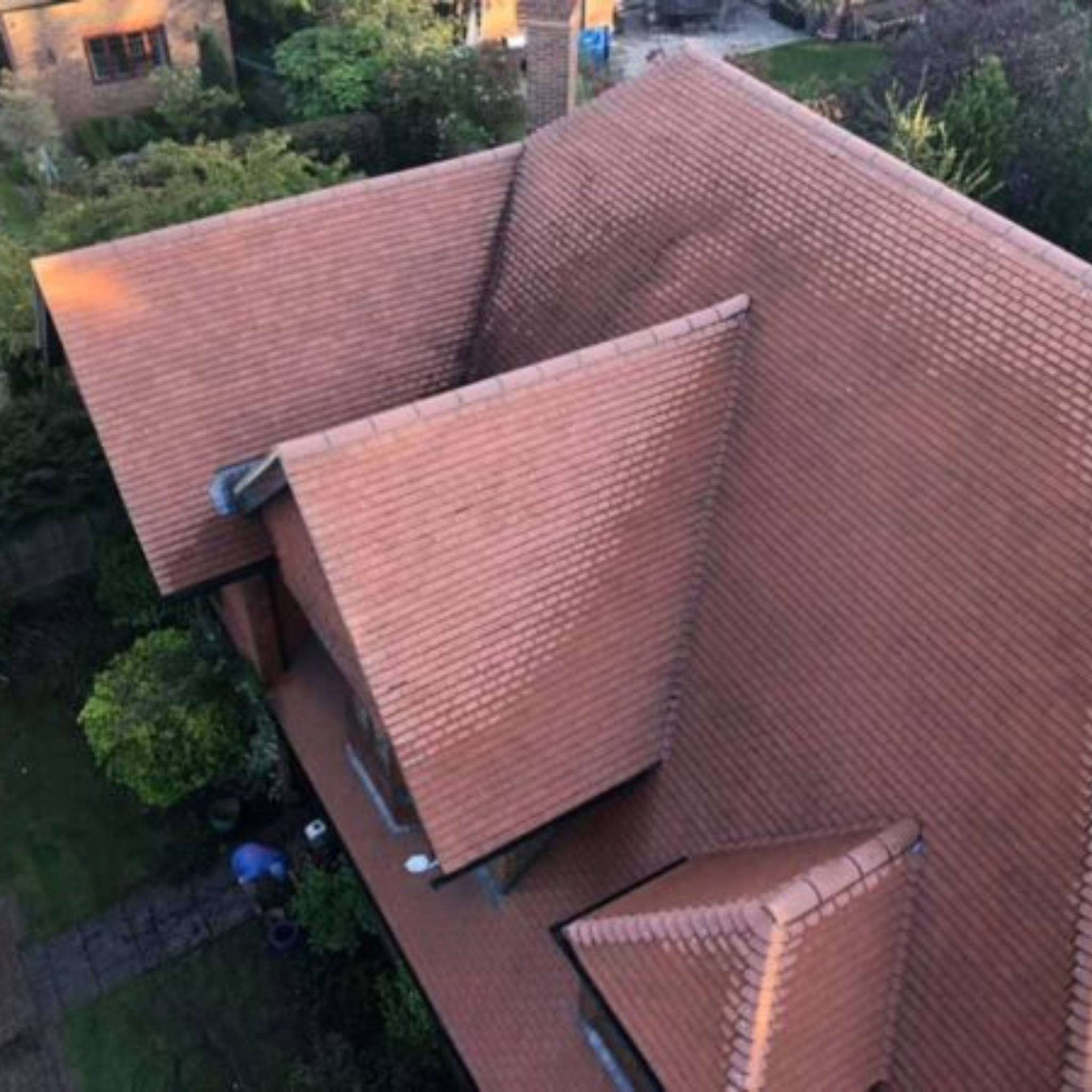 moss removal and pressure washing